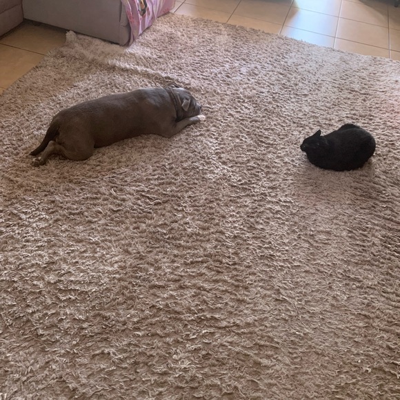 Live and share show flyer half will be donated - Picture 16 of 16